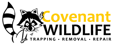 The Consequences Of Using Live Rodents As Reptile Food - Covenant Wildlife