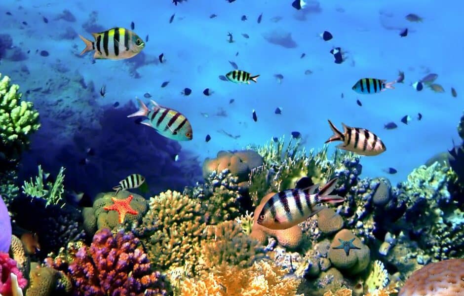 Colorful image of the Aquatic Habitats of the World Hero image