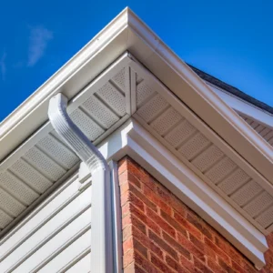 bats under eaves