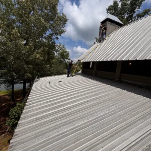 bats in soffit