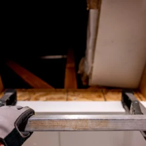 september bat removal